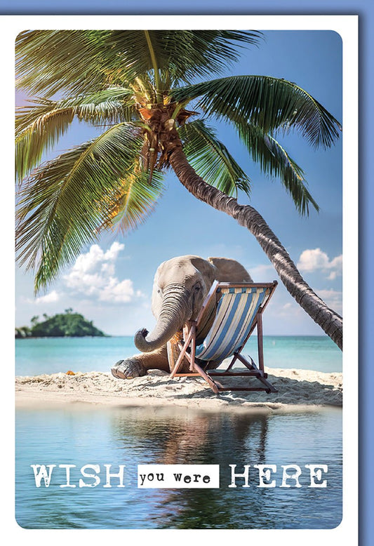 Geburtstagskarte Urlaub – Elefant im Liegestuhl unter Palmen am Strand