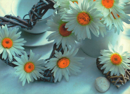 Genesungskarte Margeritenstrauß mit Herz und Stein liebevolle Kunstpostkarte Blumenmotiv für Genesungswünsche und Aufmunterung