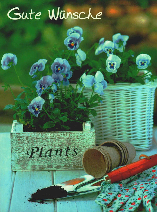 Genesungskarte mit Blumenmotiv und Spruch Gute Wünsche liebevolle Postkarte Lebensweisheiten für Freunde Pflanzen Natur grün