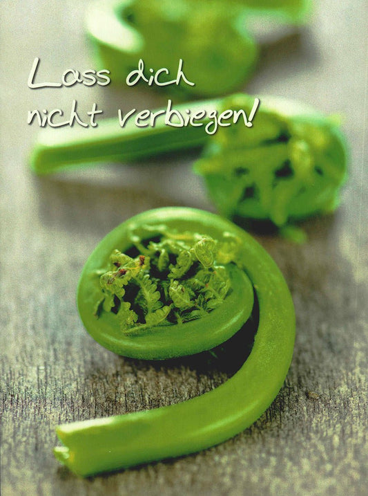 Genesungskarte mit Spruch Lass dich nicht verbiegen grüne Farnpflanze Mutmacher Postkarte für Freunde und Familie