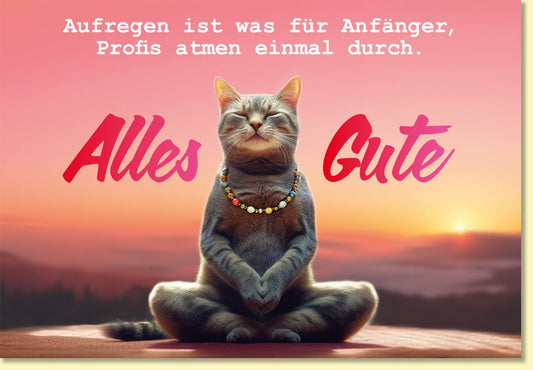 Glückwunschkarte Alles Gute mit entspannter Katze im Sonnenuntergang witzige Doppelkarte für Profis originelle Grußkarte