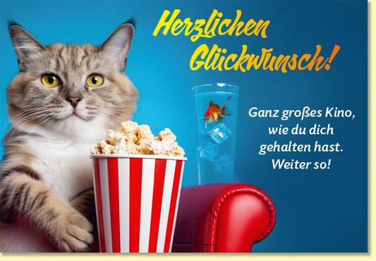 Glückwunschkarte Katze mit Popcorn und Goldfisch lustige Doppelkarte für Kino Fans originelle Glückwunschkarten allgemein