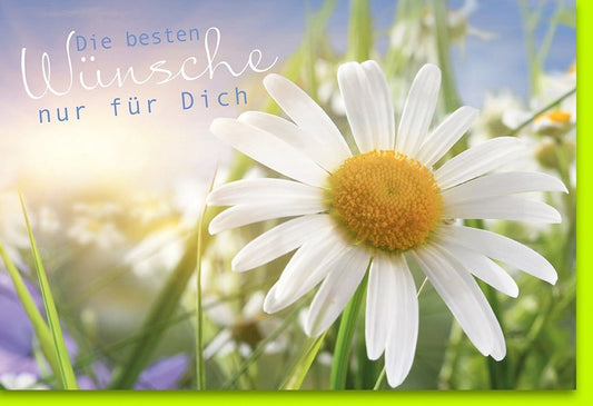 Glückwunschkarte "Margeritenzauber" - Blumenwiese & Sonnenschein für Liebe, Freude & Frieden, Grußkarten