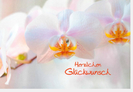 Glückwunschkarte mit Blumenmotiv - Herzliche Grüße in Weiß & Orange, Perfekt für Feierlichkeiten - Schreibwaren Geschenk