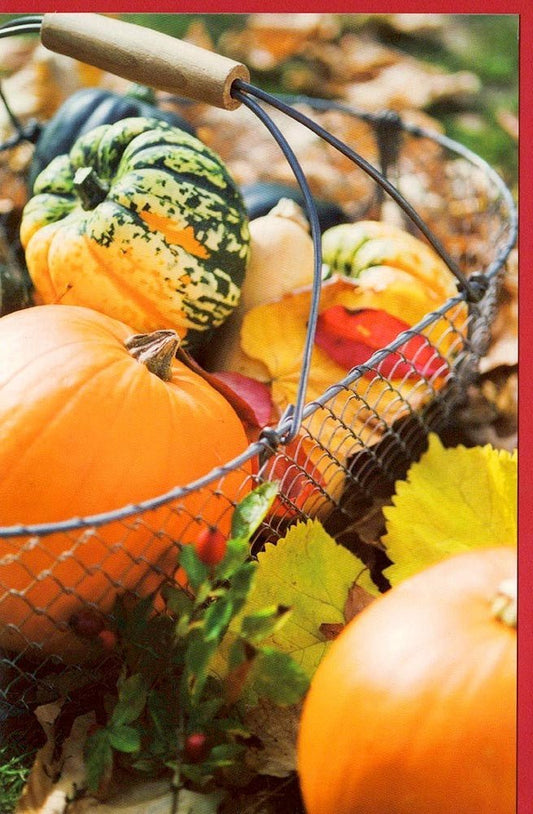 Herbstliche Blankokarte mit Kürbismotiv, ideal für persönliche Grüße im Herbst ohne vorgegebenen Text