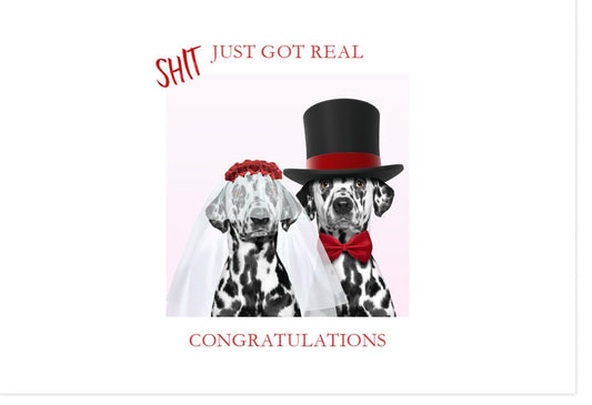Hochzeitskarte mit Dalmatiner - Design - Humorvolle Glückwünsche für das Brautpaar, Einzigartige Gratulationskarte zur Hochzeit
