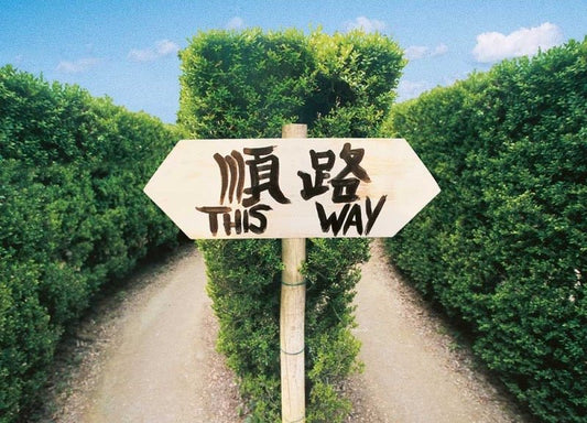 Inspirierende Blankopostkarte: Naturwegweiser – Entscheidungspfade, Himmelsblick & Bäume in Grün - Blau