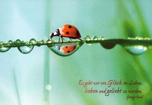 Inspirierende Postkarte mit Marienkäfer - Motiv: "Glück in der Natur" – Zitat von George Sand, für Liebe & Lebensfreude, Postkarten - Sprüche