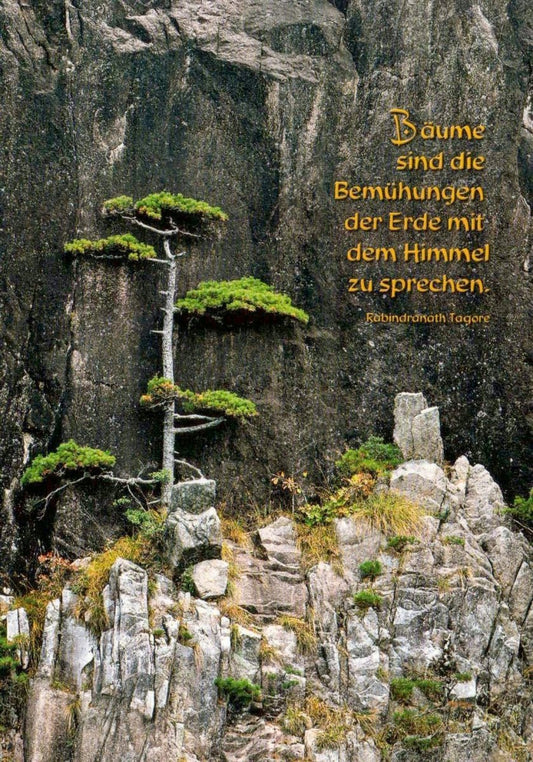 Inspirierende Sprüche - Postkarte mit Tagore - Zitat, Felsen & Bäumen - Hoffnung & Motivation in der Natur