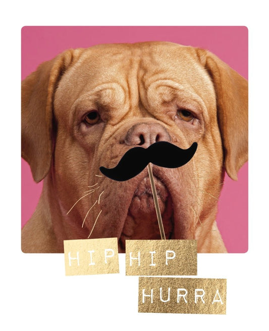 Jubiläumskarte: Fröhlicher Hund mit Schnäuzer - Hip Hip Hurra!