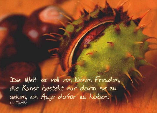 Kunstpostkarte Kastanie Zitat Freude Naturmotiv inspirierende Postkarte für besondere Grüße hochwertige Grußkarte Kunstdruck