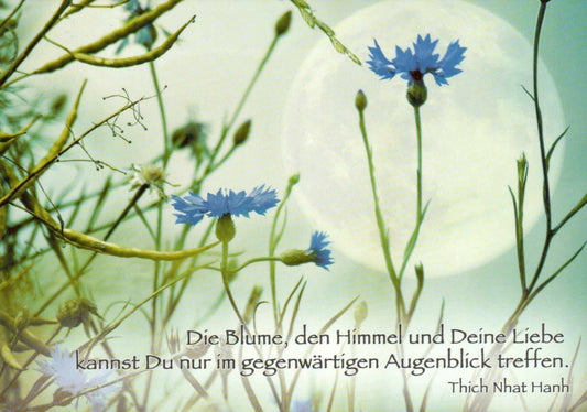 Lebensweisheiten - Postkarte: Die Blume, der Himmel - Inspirierende Worte für jeden Anlass