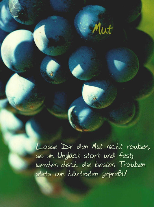 Lebensweisheiten Postkarte Mut inspirierende Trauben - Motiv mit Spruch Stärke im Unglück Motivation Karte zum Verschenken