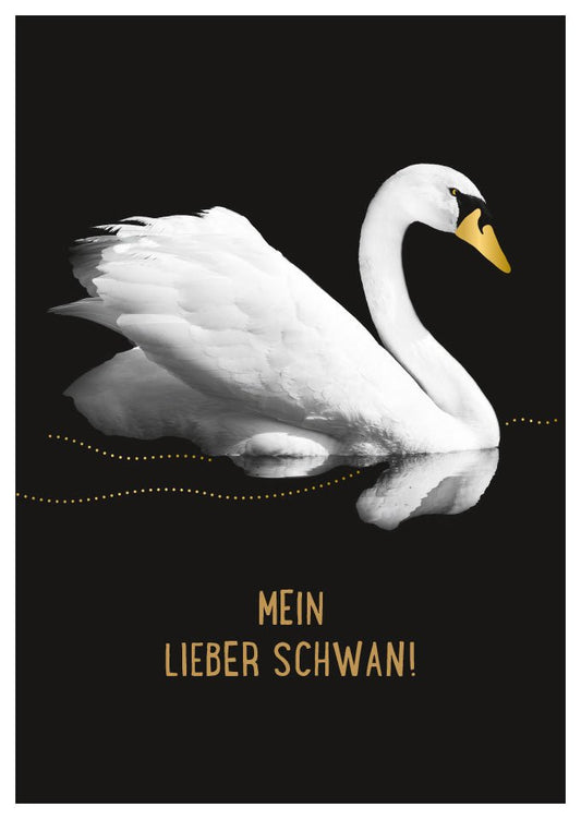 Liebeskarte mit Schwan Motiv auf schwarzem Hintergrund elegante Postkarte für Verliebte romantische Grußkarte Mein lieber Schwan