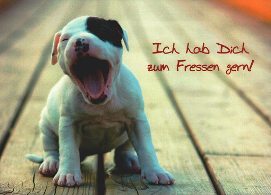 Liebeskarte süßer Hund mit Spruch Ich hab dich zum Fressen gern Postkarte Liebe für Verliebte romantische Grußkarte Geschenk