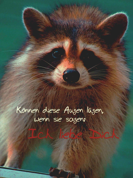 Liebeskarte süßer Waschbär mit Spruch Ich liebe Dich perfekte Postkarte für Verliebte Grußkarte Liebe Tiermotiv romantisch Geschenk