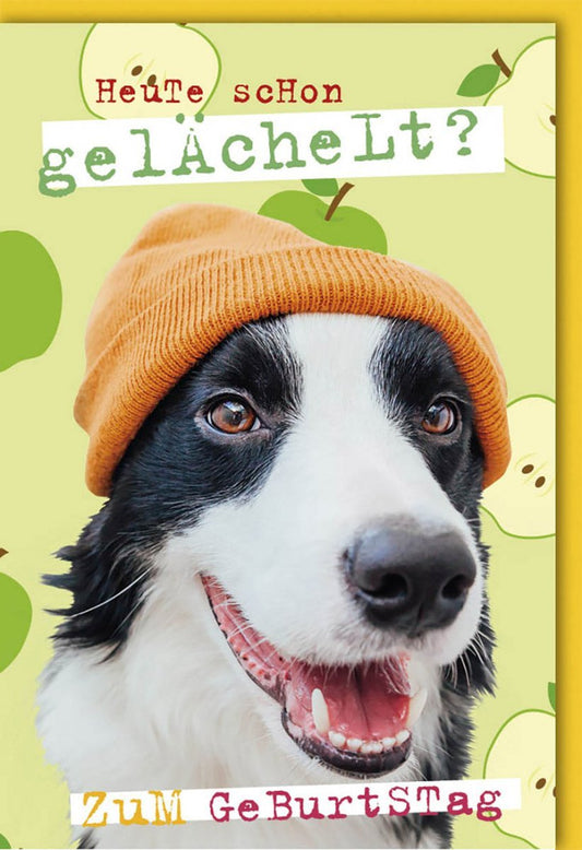 Lustige Geburtstagskarte mit Hund in Mütze – Humorvolle Cartoon - Grußkarte für fröhliche Glückwünsche