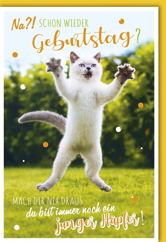 Lustige Geburtstagskarte mit Katzenmotiv - Humorvolle Grüße für Spaß & Freude am Geburtstag