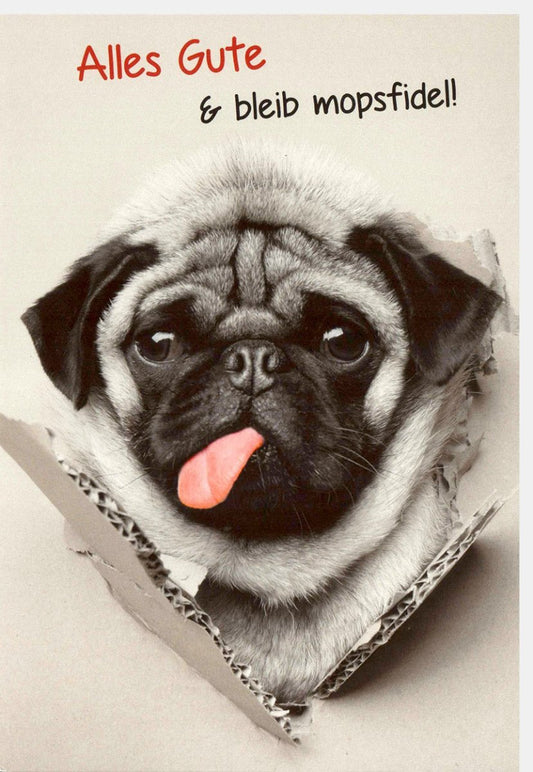 Lustige Geburtstagskarte Mops - Humorvolle Grüße mit Witzigem Spruch & Niedlichem Hundemotiv für Tierliebhaber & Cartoon - Fans, inkl. Umschlag