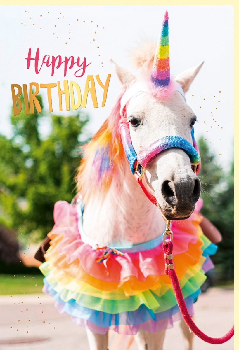 Lustige Geburtstagskarte: Pferd als Einhorn mit Regenbogen - Goldfolie für humorvolle Glückwünsche