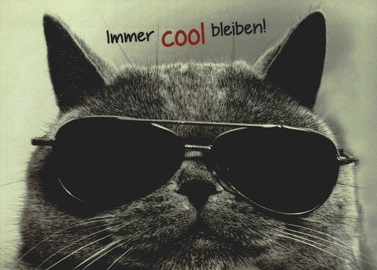 Lustige Postkarte mit cooler Katze und Sonnenbrille Immer cool bleiben witzige Grußkarte für Freunde und Kollegen Postkarten Humor