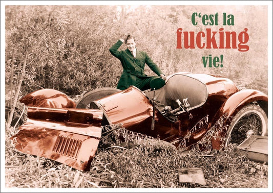 Lustige Postkarte mit Spruch: C'est la vie, aber mit einem Augenzwinkern!