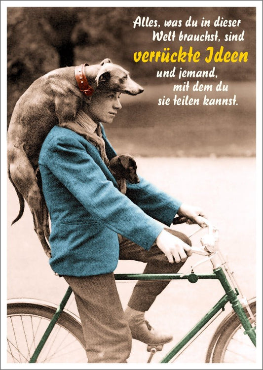 Lustige Postkarte mit Spruch: Verrückte Ideen sind alles, was du brauchst in dieser Welt