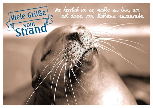 Lustige Postkarte zur Entspannung - Seehund am Strand in Sepia, Witzige Meerestier - Fotografie