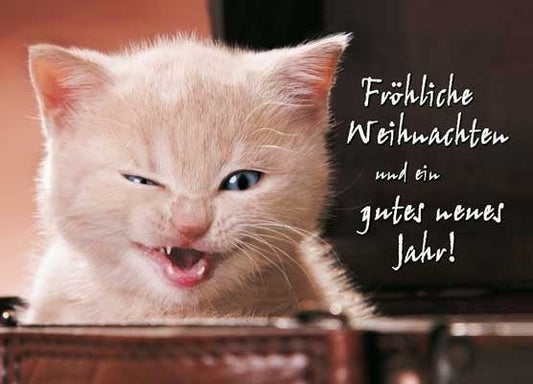 Lustige Weihnachtspostkarte mit weißer Katze - Fröhliche Grüße zu Weihnachten