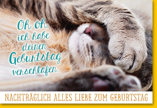 Nachträgliche Geburtstagskarte - Humorvolle Grüße mit verschlafener Katze, Alles Liebe verspätet