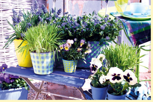 Osterkarte: Frühlingsgruß mit Blumenarrangement & Gartenstuhl - Blanko für Geburtstag, Einladung, Dankeschön - Naturmotiv in Blautönen