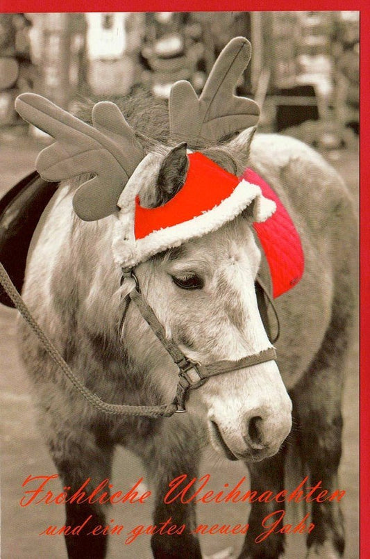 Pferde - Weihnachtsgrusskarte: Besinnliche Grüße zu Weihnachten