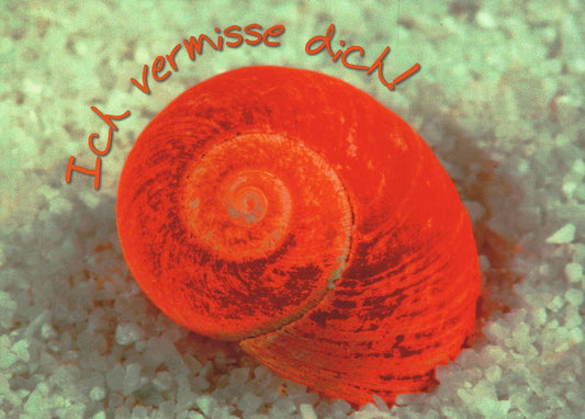 Postkarte Freundschaft Ich vermisse dich mit roter Muschel auf Sand liebevoll gestaltet für besondere Grüße an Freunde und Herzensmenschen