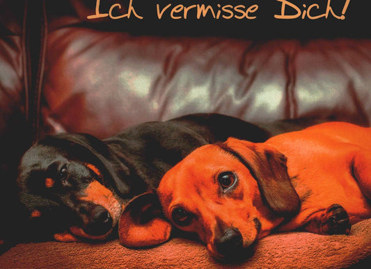 Postkarte Freundschaft Ich vermisse Dich süße Dackel Hunde auf Sofa liebevolle Grußkarte für Freunde Sehnsucht Postkarten Hundemotiv