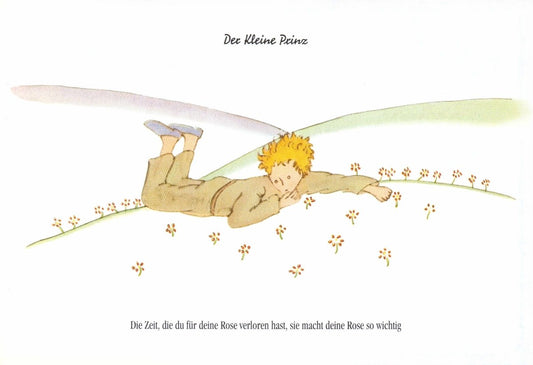 Postkarte Geburtstag Der Kleine Prinz für Kinder mit liebevollem Zitat und Blumenwiese hochwertige Postkarte zum Geburtstag