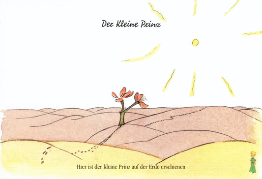 Postkarte Geburtstag Der kleine Prinz für Kinder mit Sonnenlandschaft und Blume liebevoll illustriert besondere Postkarte Kinder