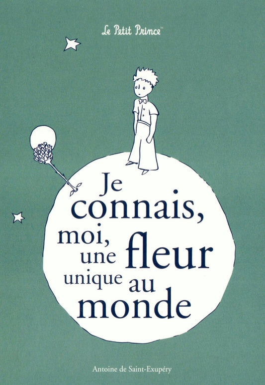 Postkarte Geburtstag für Kinder Der kleine Prinz mit Zitat Je connais moi une fleur einzigartige Postkarte liebevoll illustriert für besondere Glückwünsche