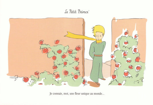 Postkarte Geburtstag für Kinder mit Der Kleine Prinz Motiv liebevoll illustriert französisches Zitat einzigartige Postkarte für besondere Glückwünsche