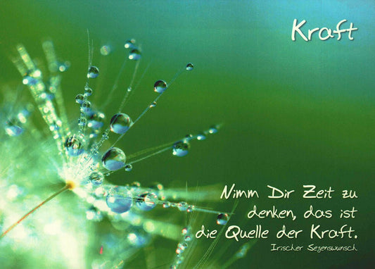 Postkarte Lebensweisheiten Kraft grüne Natur Pusteblume mit Tau inspirierender irischer Segenswunsch zum Nachdenken und Mut schenken