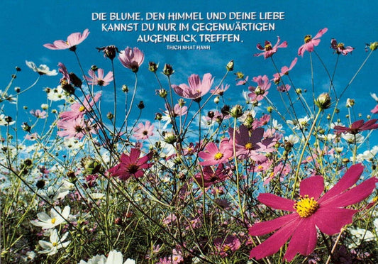 Postkarte mit Spruch – Thich Nhat Hanh Zitat, Blumen & Himmel, Natur & Achtsamkeit