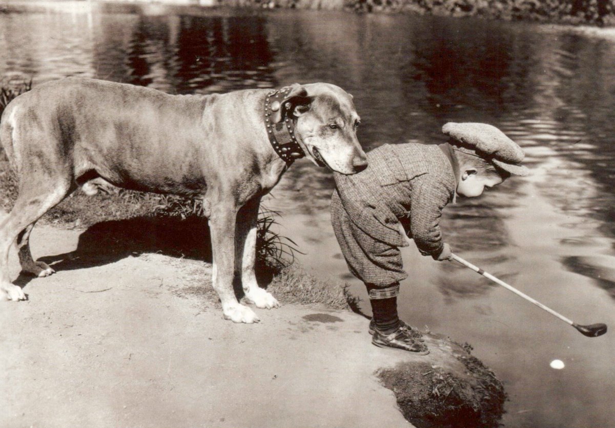 Postkarte Schwarz - Weiß Retro Hund Golfspieler - Vintage Humor für Tierfreunde & Nostalgie - Liebhaber - Perfekt als Geschenk