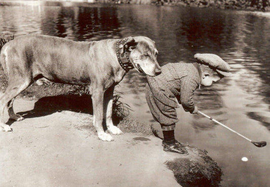 Postkarte Schwarz - Weiß Retro Hund Golfspieler - Vintage Humor für Tierfreunde & Nostalgie - Liebhaber - Perfekt als Geschenk