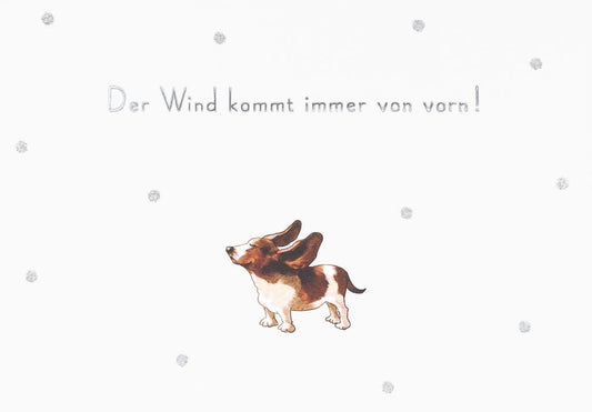 Postkarte Sprüche: Der Wind kommt immer von vorn! - Lustige Bassett - Karte
