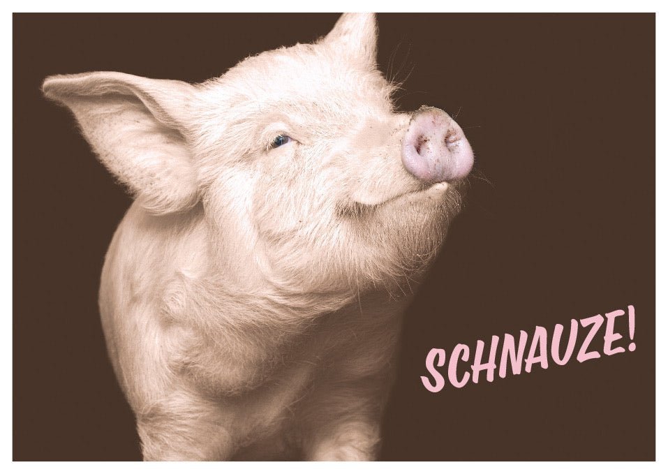 Postkarte Sprüche: Humorvoller Gruß "Schnauze" für jede Gelegenheit