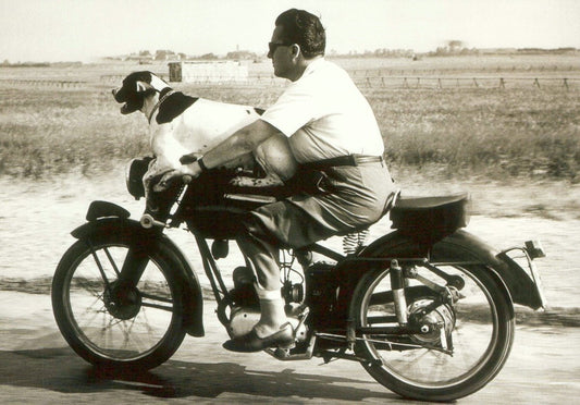 Reiseabenteuer Postkarte: Vintage Motorrad & Hund - Schwarz - Weiß Kunst für Sammler und Deko - Fans, Einzigartiges Geschenk