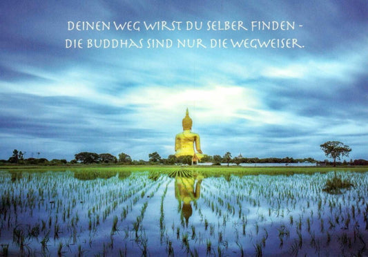 Spirituelle Postkarte: Buddha in den Feldern – TX 426 für besondere Anlässe