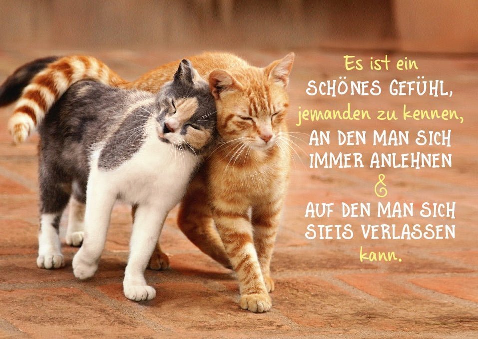 Tierische Freundschaftskarte mit Katzenmotiv – Lebensweisheit & Vertrauen, für Nähe und Zusammenhalt