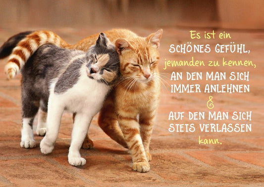 Tierische Freundschaftskarte mit Katzenmotiv – Lebensweisheit & Vertrauen, für Nähe und Zusammenhalt