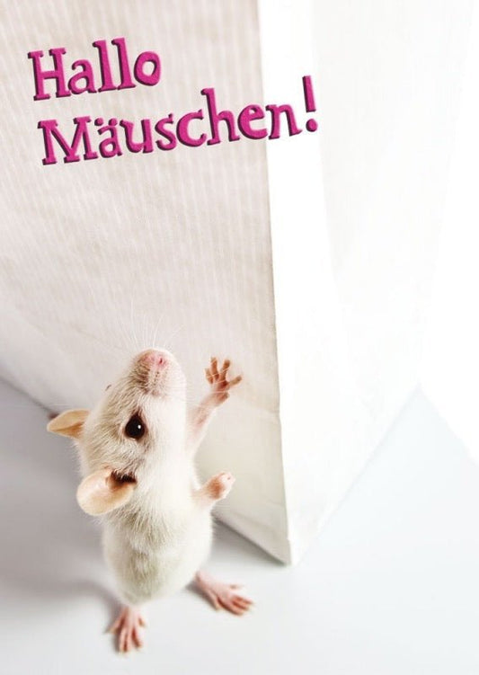Tierpostkarte: Grüße an ein kleines Mäuschen!