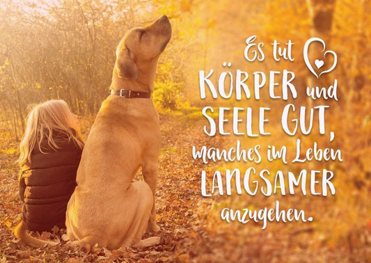 Tierpostkarte mit Lebensweisheit: Langsamkeit für Körper und Seele entdecken